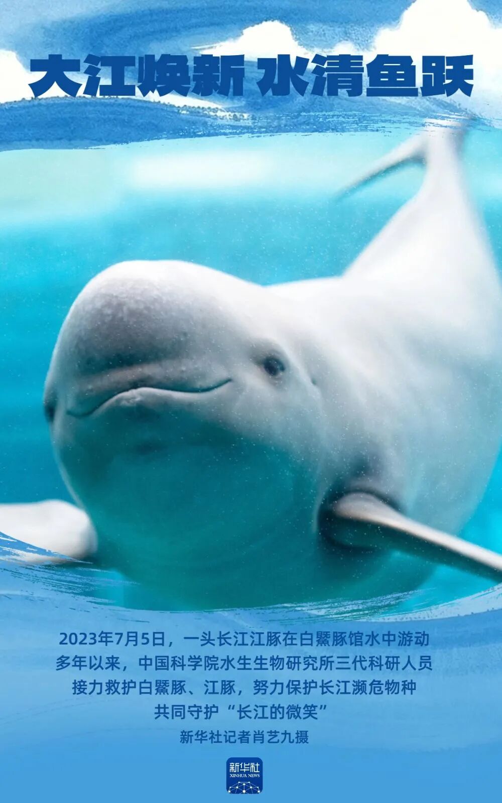 大江焕新 水清鱼跃